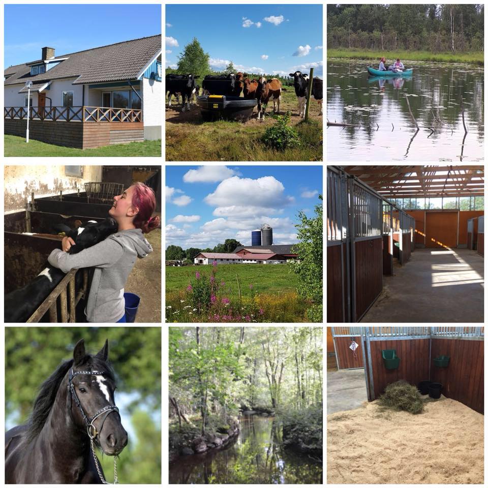 Företagsboende Ljungby